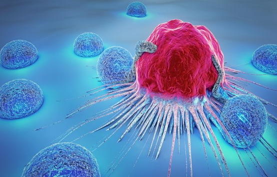 Die 10 wichtigsten Funktionen des Tumorstromas